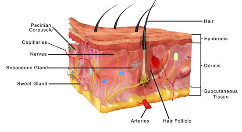 Hidradenitis Suppurativa Signs & Symptoms - Uveitis Non Infectious